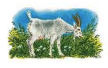 Задание рисунок 1