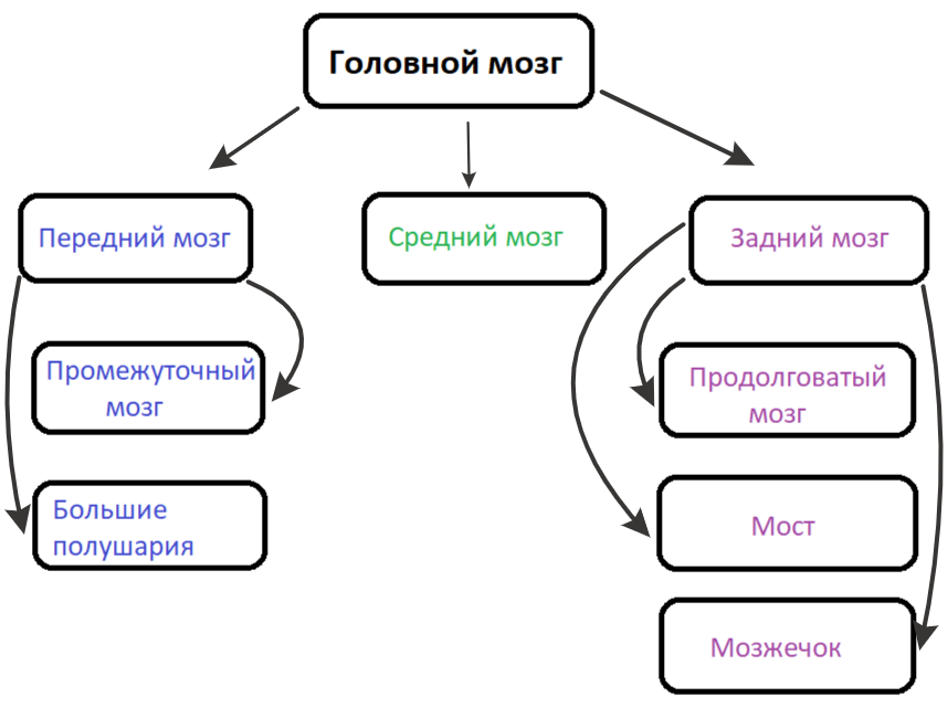 Решение рисунок 1