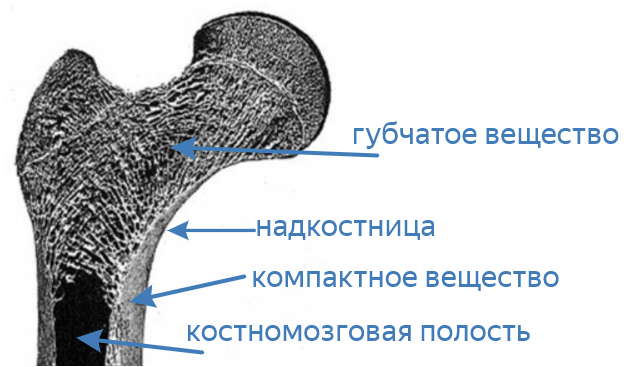 Решение рисунок 1