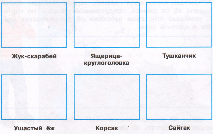 Задание рисунок 1