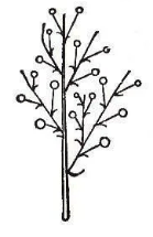 Решение рисунок 7