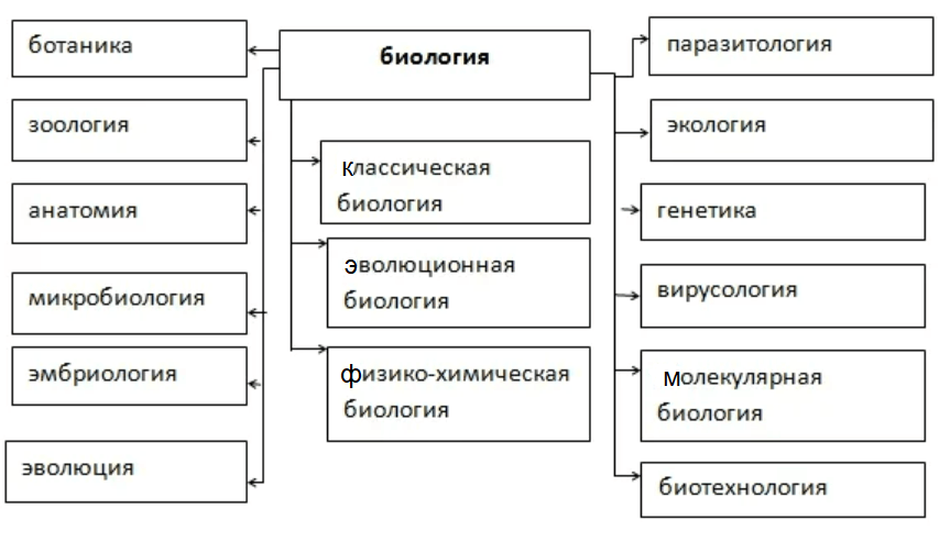 Решение рисунок 1